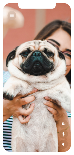 product hero 03 b81cf1fd